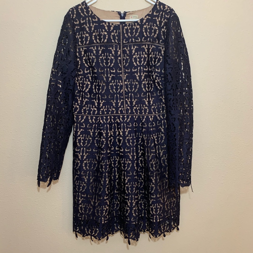 Cremieux Navy Lace with Tan Lining Dress